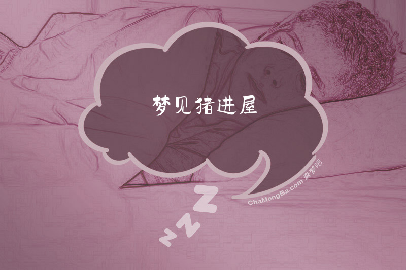 梦见猪进屋
