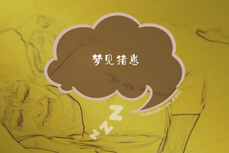 梦见猪崽