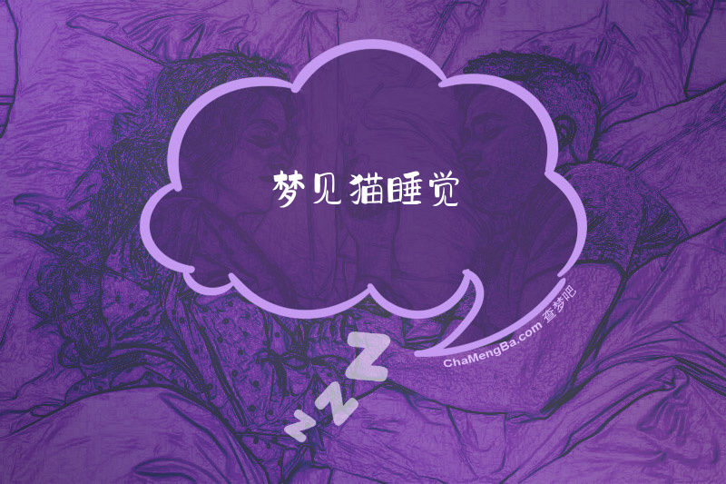 梦见猫睡觉