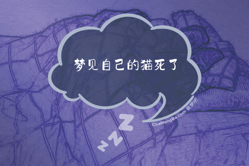 梦见自己的猫死了