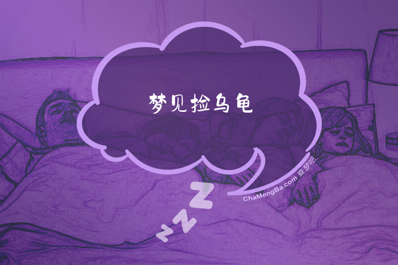 梦见捡乌龟