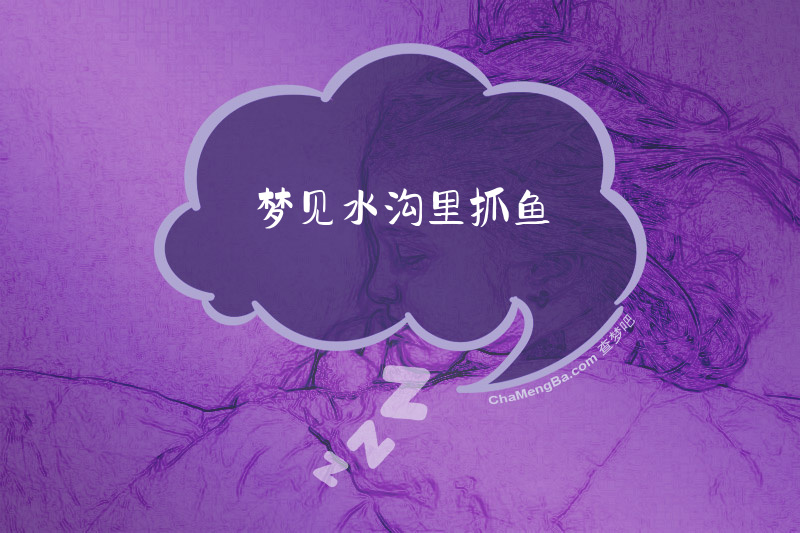 梦见水沟里抓鱼
