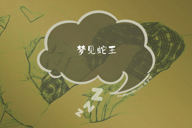 梦见蛇王