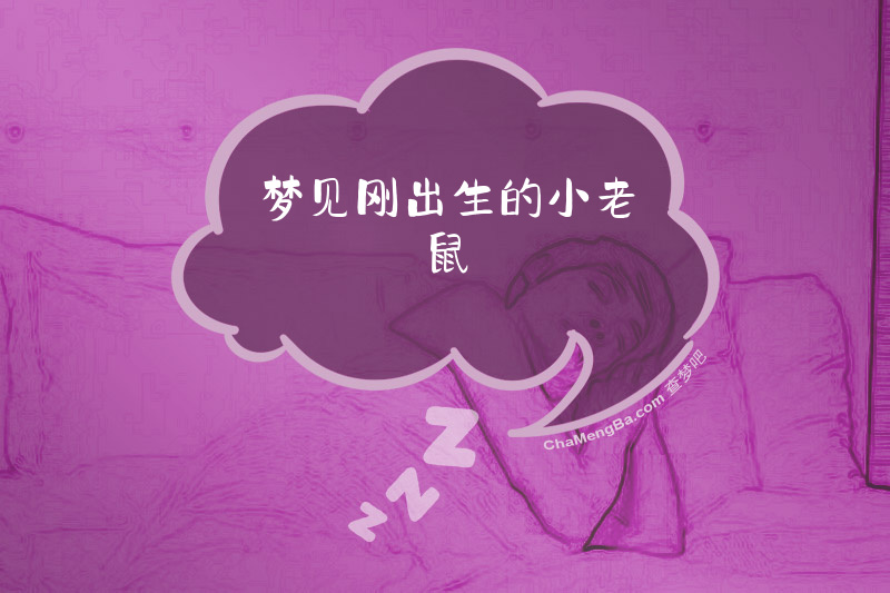 梦见刚出生的小老鼠