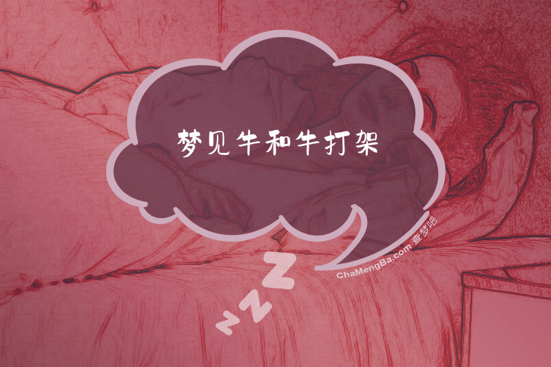 梦见牛和牛打架
