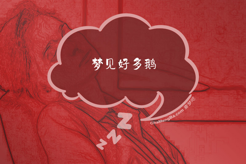 梦见好多鹅