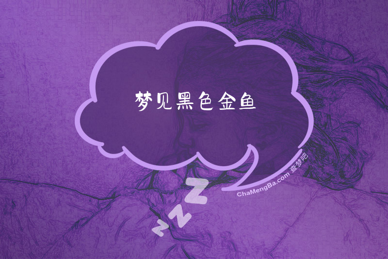 梦见黑色金鱼