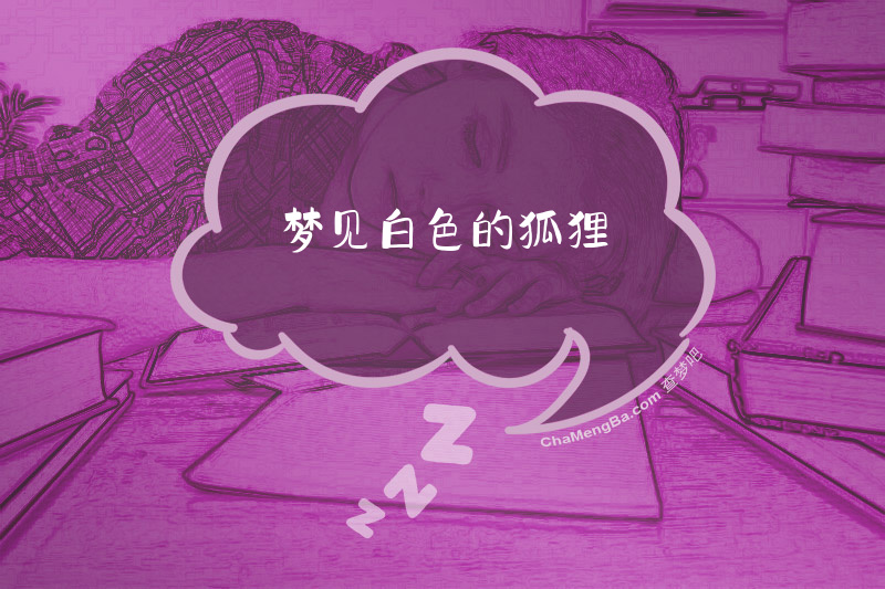 梦见白色的狐狸