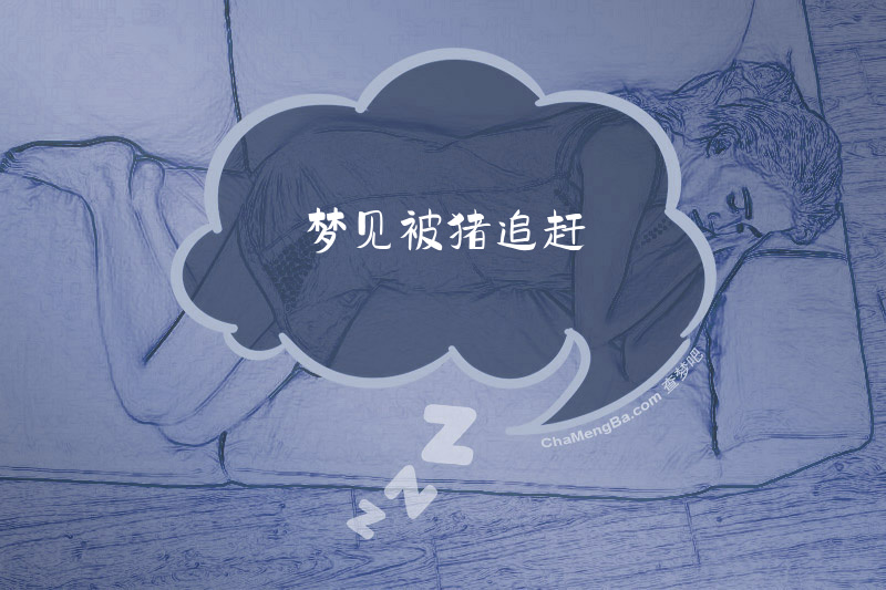 梦见被猪追赶
