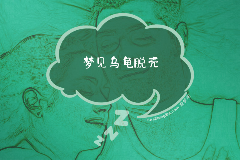 梦见乌龟脱壳