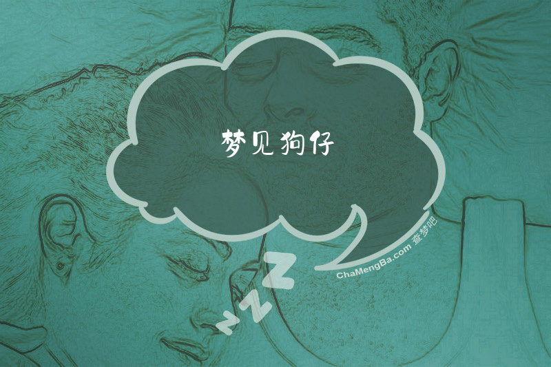 梦见狗仔