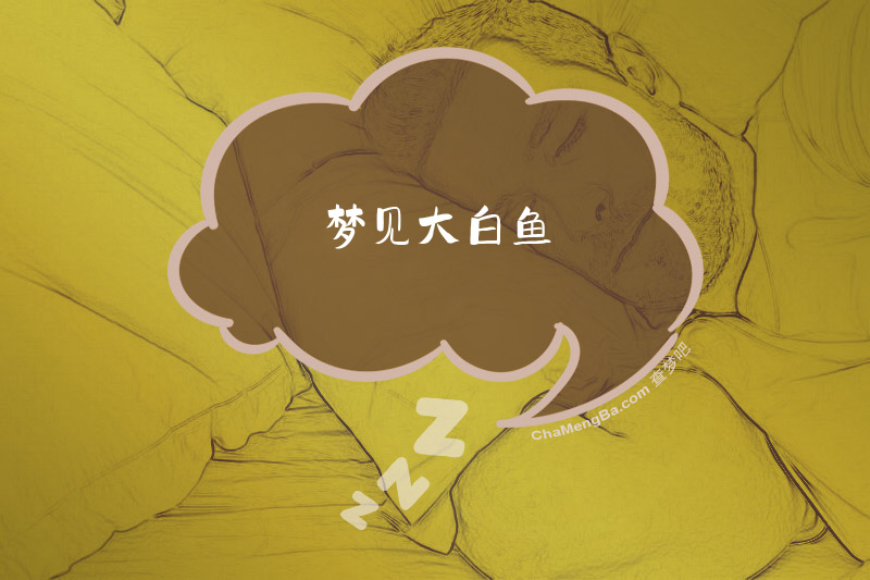 梦见大白鱼