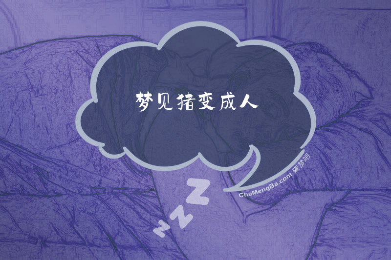 梦见猪变成人