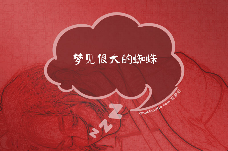 梦见很大的蜘蛛