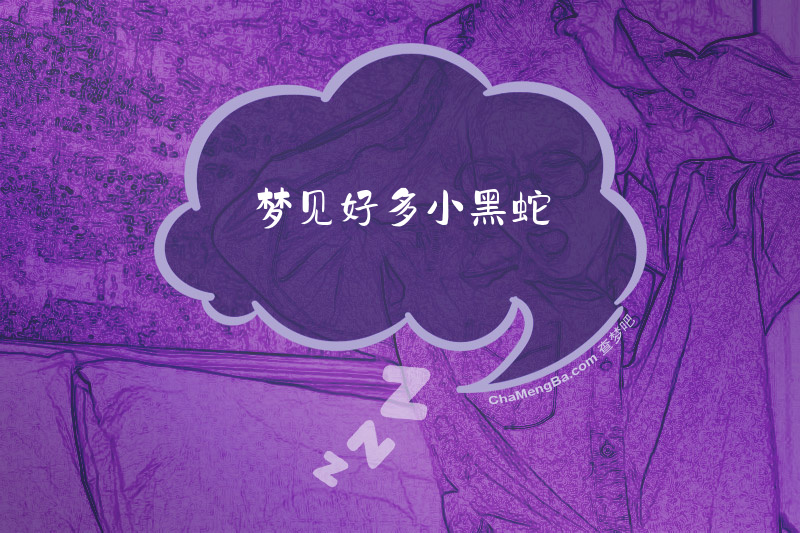梦见好多小黑蛇