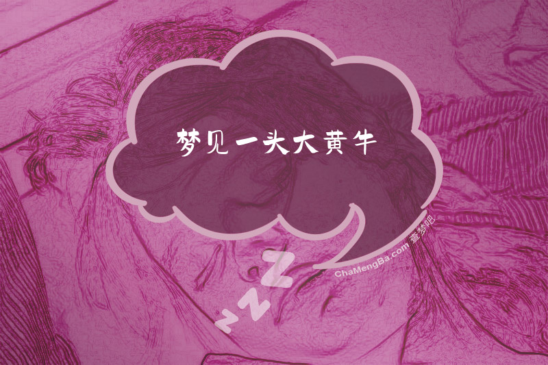 梦见一头大黄牛