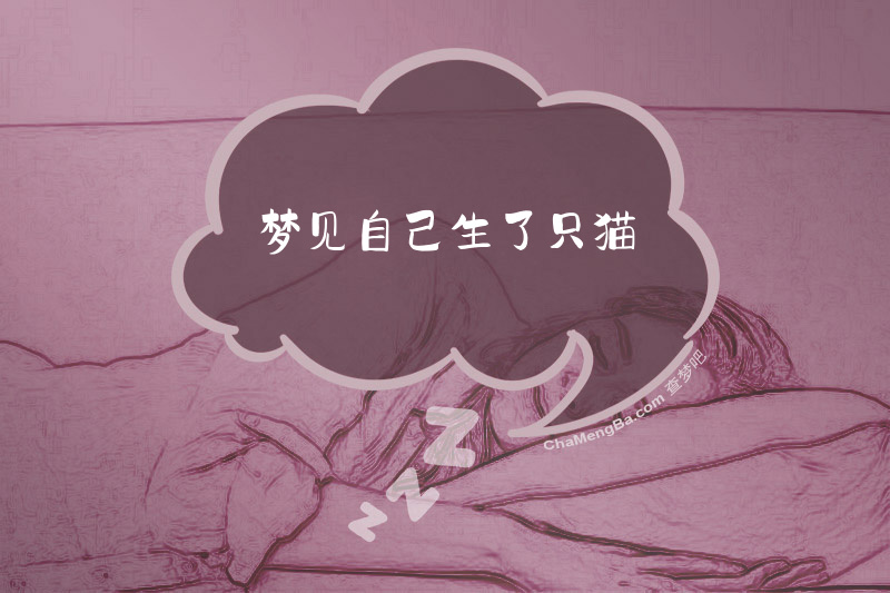 梦见自己生了只猫