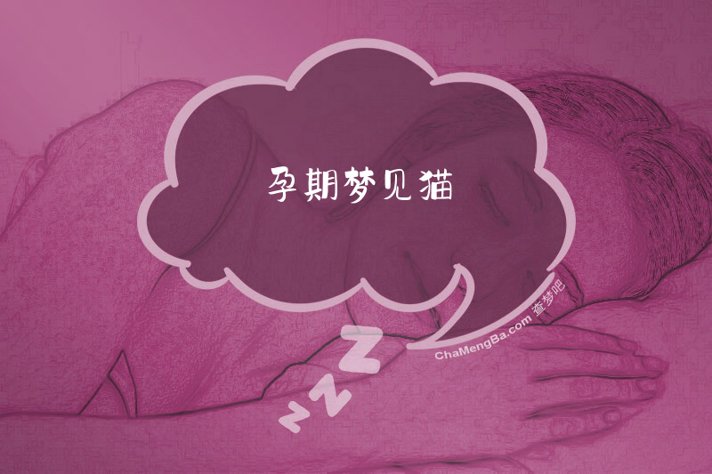 孕期梦见猫