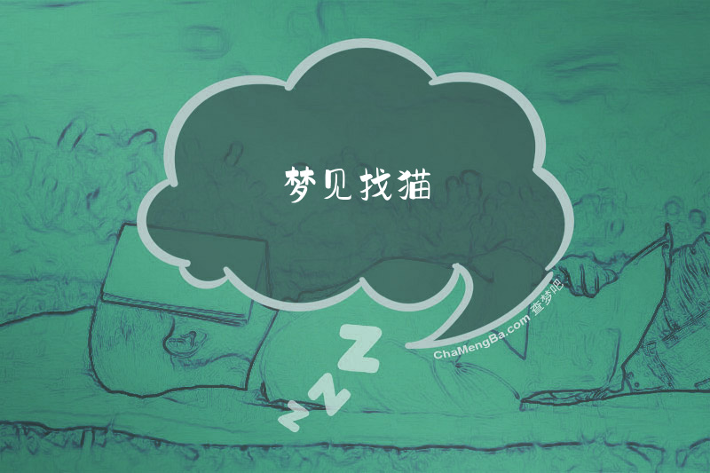 梦见找猫