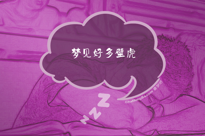梦见好多壁虎