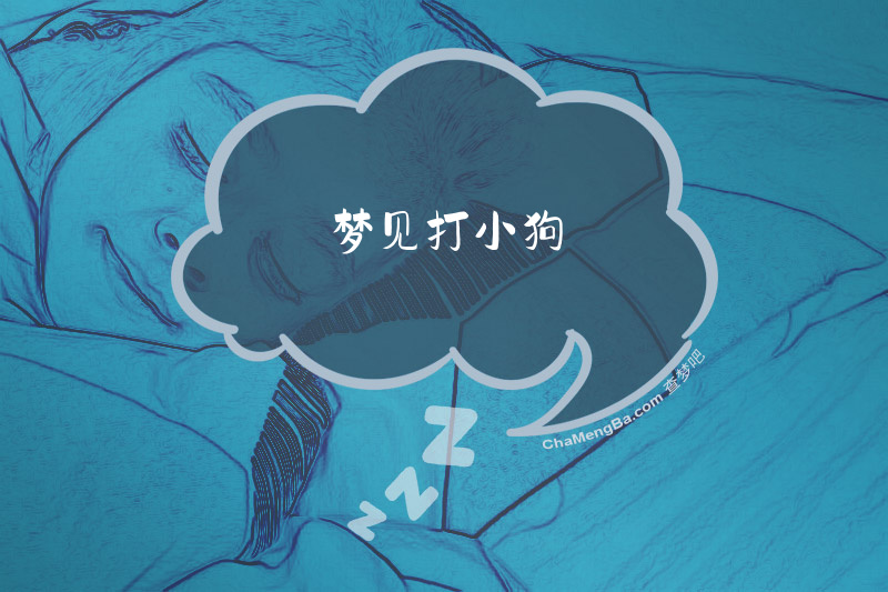 梦见打小狗