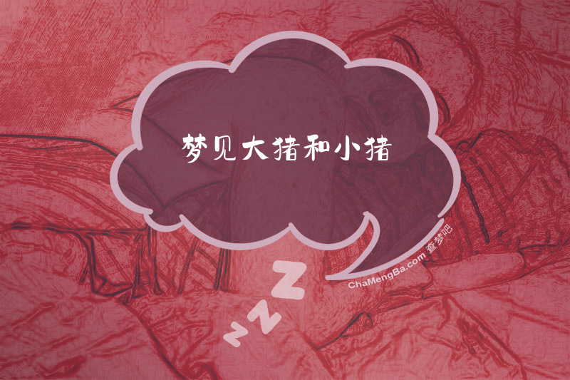 梦见大猪和小猪
