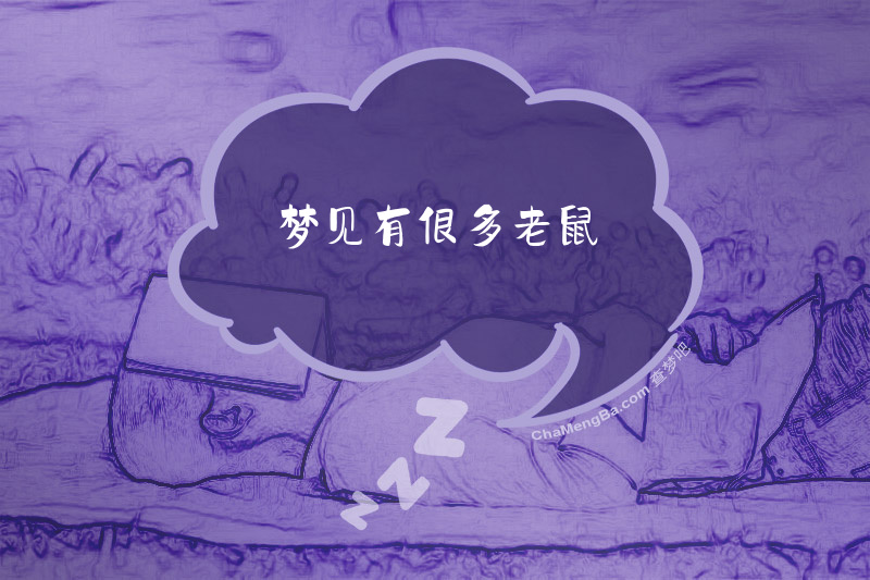 梦见有很多老鼠