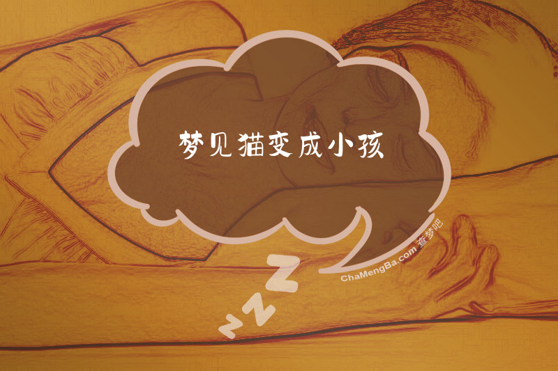 梦见猫变成小孩