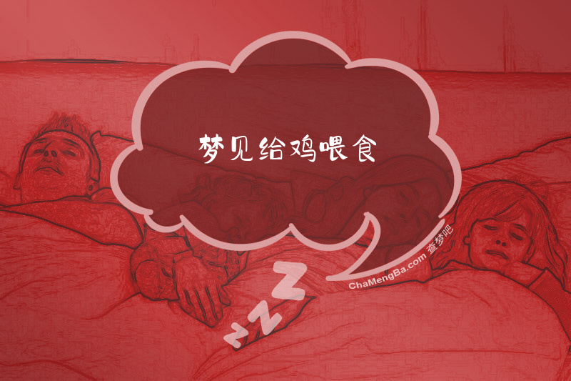 梦见给鸡喂食