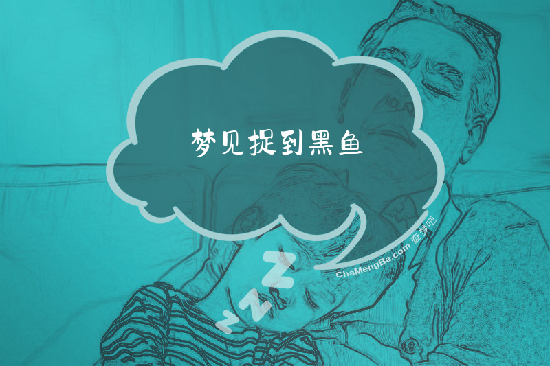 梦见捉到黑鱼