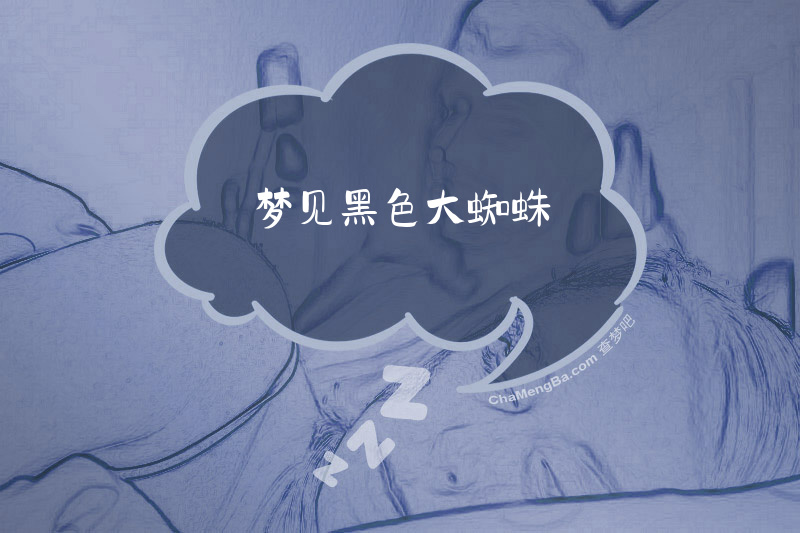 梦见黑色大蜘蛛
