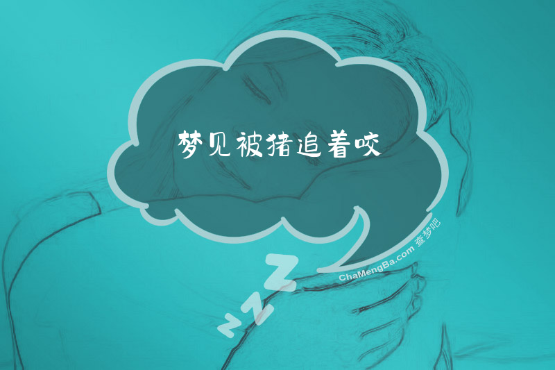 梦见被猪追着咬