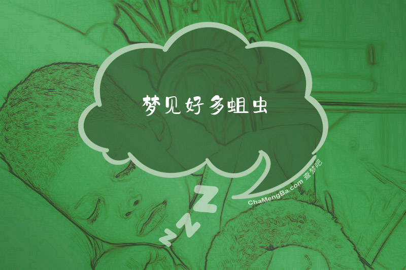 梦见好多蛆虫