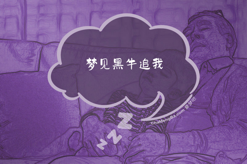 梦见黑牛追我
