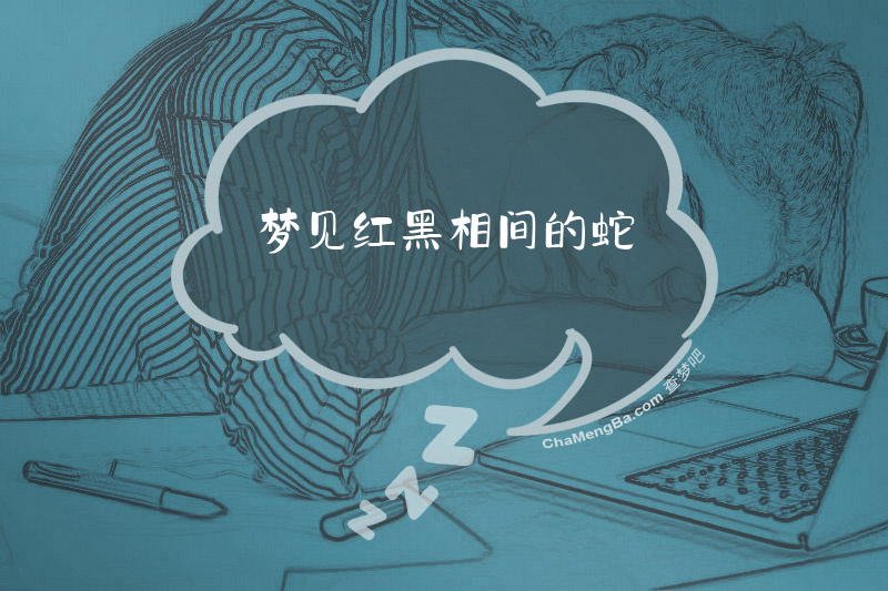 梦见红黑相间的蛇