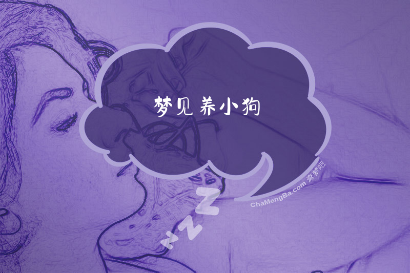 梦见养小狗