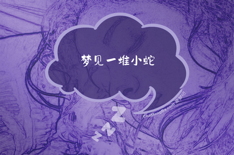 梦见一堆小蛇