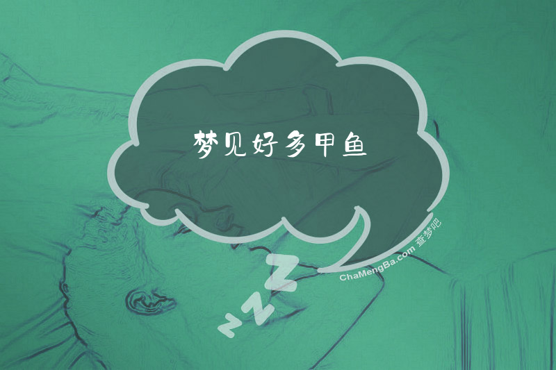 梦见好多甲鱼