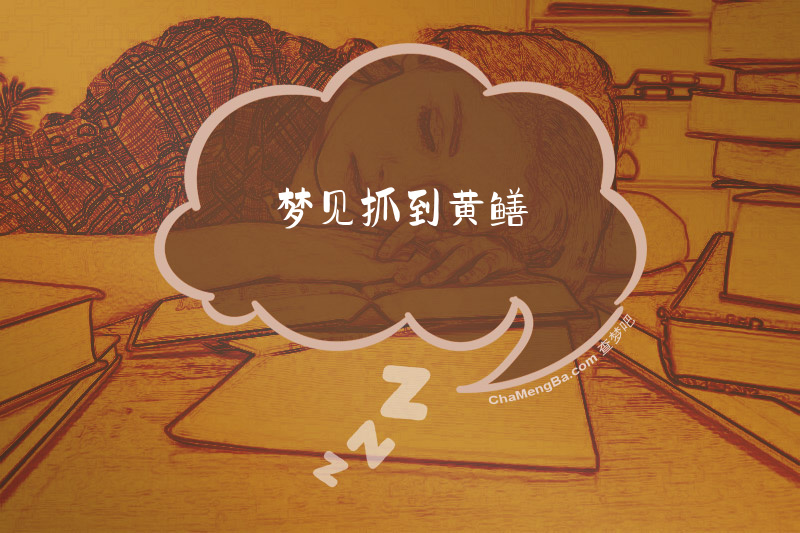 梦见抓到黄鳝