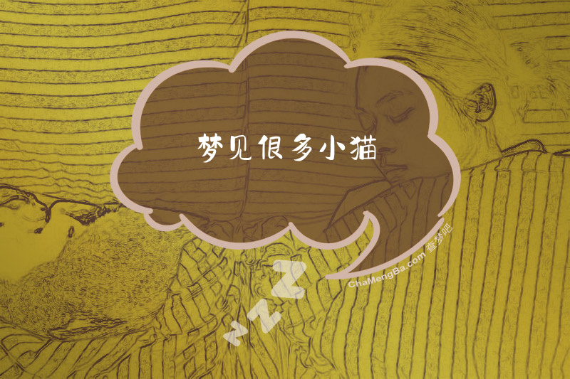 梦见很多小猫