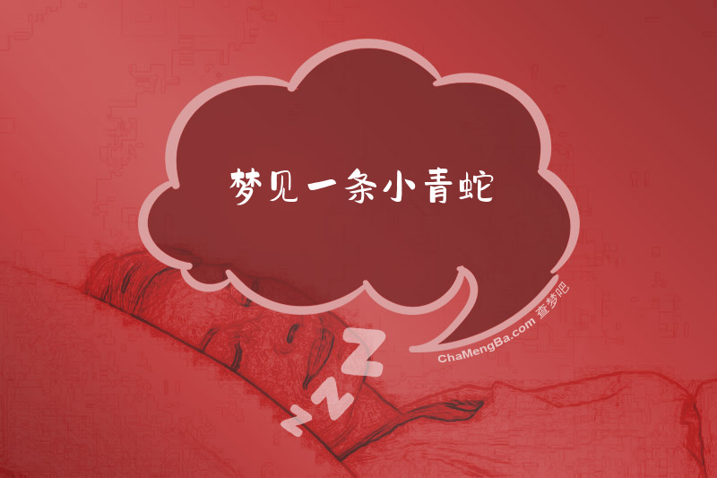 梦见一条小青蛇