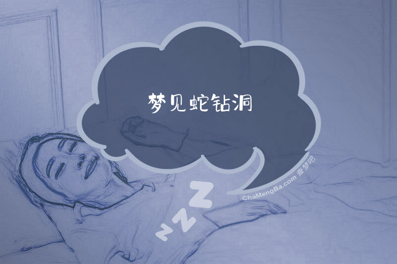 梦见蛇钻洞
