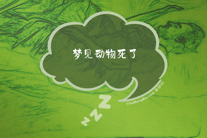 梦见动物死了