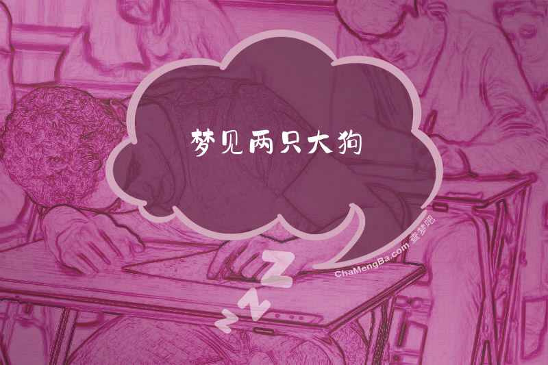 梦见两只大狗