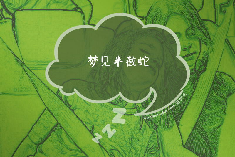 梦见半截蛇