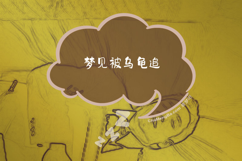 梦见被乌龟追