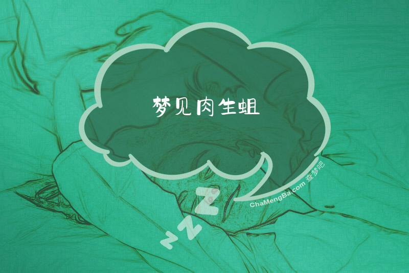 梦见肉生蛆
