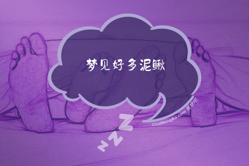 梦见好多泥鳅