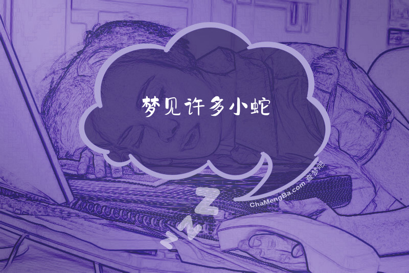梦见许多小蛇