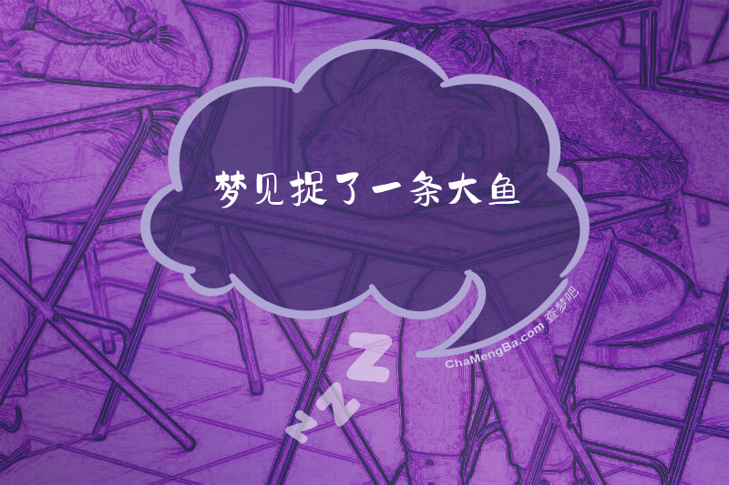 梦见捉了一条大鱼